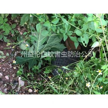 花都住宅区处理蛇患工程